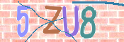 CAPTCHA 驗證圖片