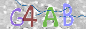 CAPTCHA 驗證圖片