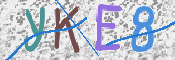 CAPTCHA 驗證圖片