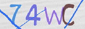CAPTCHA 驗證圖片