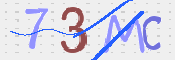 CAPTCHA 驗證圖片
