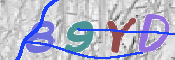 CAPTCHA 驗證圖片