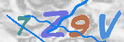 CAPTCHA 驗證圖片