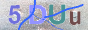 CAPTCHA 驗證圖片