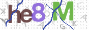 CAPTCHA 驗證圖片