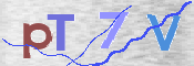 CAPTCHA 驗證圖片