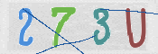 CAPTCHA 驗證圖片