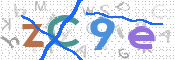 CAPTCHA 驗證圖片