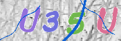 CAPTCHA 驗證圖片