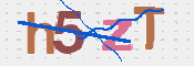 CAPTCHA 驗證圖片
