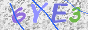 CAPTCHA 驗證圖片