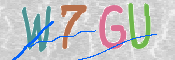 CAPTCHA 驗證圖片