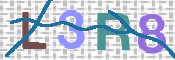CAPTCHA 驗證圖片