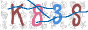 CAPTCHA 驗證圖片
