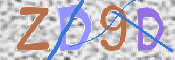 CAPTCHA 驗證圖片
