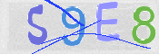 CAPTCHA 驗證圖片