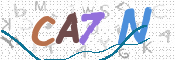 CAPTCHA 驗證圖片