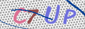 CAPTCHA 驗證圖片