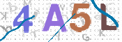 CAPTCHA 驗證圖片