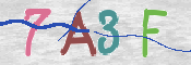 CAPTCHA 驗證圖片