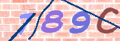 CAPTCHA 驗證圖片