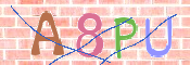 CAPTCHA 驗證圖片