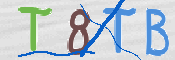 CAPTCHA 驗證圖片
