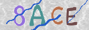 CAPTCHA 驗證圖片
