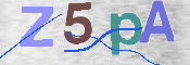 CAPTCHA 驗證圖片