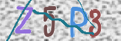 CAPTCHA 驗證圖片