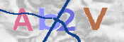 CAPTCHA 驗證圖片