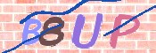 CAPTCHA 驗證圖片