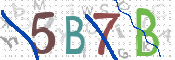 CAPTCHA 驗證圖片