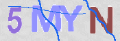 CAPTCHA 驗證圖片