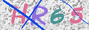 CAPTCHA 驗證圖片