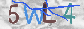 CAPTCHA 驗證圖片