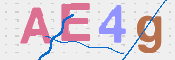 CAPTCHA 驗證圖片