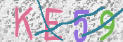 CAPTCHA 驗證圖片