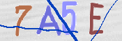 CAPTCHA 驗證圖片