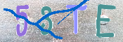 CAPTCHA 驗證圖片