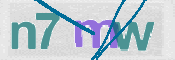 CAPTCHA 驗證圖片