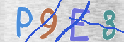 CAPTCHA 驗證圖片