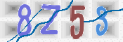 CAPTCHA 驗證圖片
