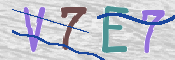CAPTCHA 驗證圖片