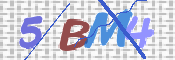 CAPTCHA 驗證圖片