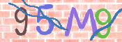 CAPTCHA 驗證圖片