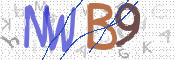 CAPTCHA 驗證圖片