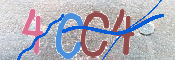 CAPTCHA 驗證圖片