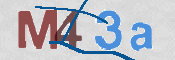 CAPTCHA 驗證圖片
