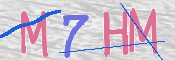 CAPTCHA 驗證圖片
